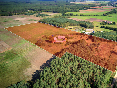 Czarnkowsko-Trzcianecki, Czarnków, Jędrzejewo