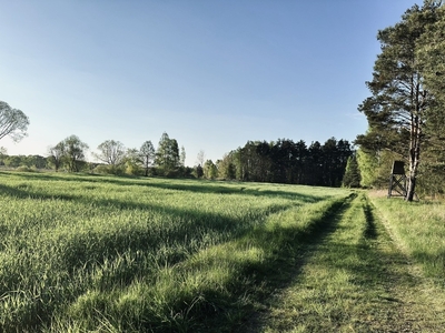 Działka budowlana Trzebnica