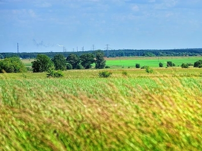 działka na sprzedaż Goleniów (gw) Rurzyca