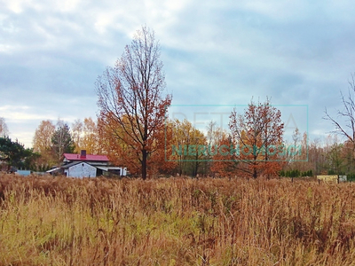 Grodziski, Jaktorów, Jaktorów-Kolonia