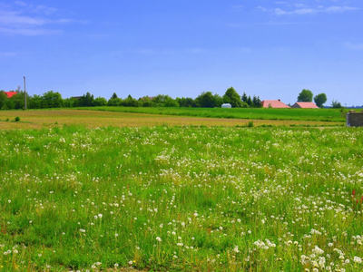 małopolskie, krakowski, Wielka Wieś, Bębło, Zachodnia