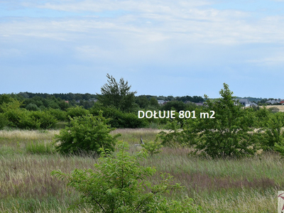 Policki (pow.), Dobra (szczecińska) (gm.), Dołuje