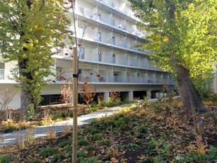 Apartament, Wolności