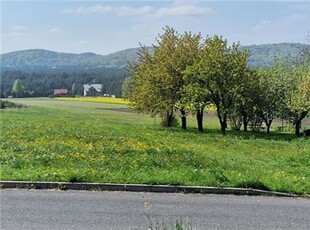 Działka budowlana Sprzedaż Lgota Murowana, Polska