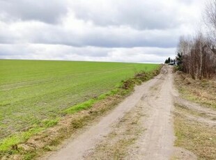 Działka budowlana Strzepcz gm. Linia, Aleja Zdrowia