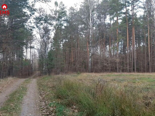 Działka rolno-budowlana Niewodnica Nargilewska-Kolonia