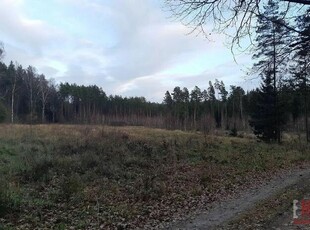 Działka rolno-budowlana Niewodnica Nargilewska-kolonia gm. Juchnowiec Kościelny