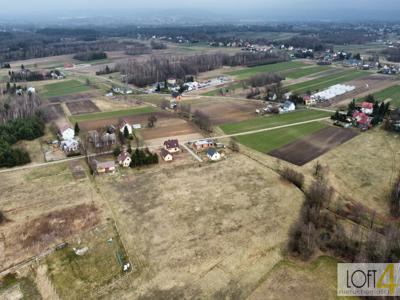 Dębicki, Pilzno, Lipiny