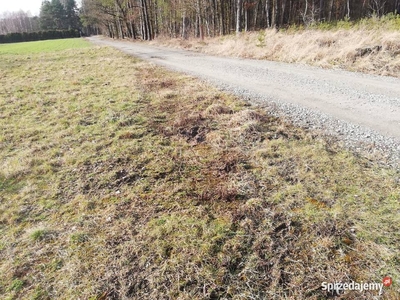 Działka budowlana 3000m, Aleksandrów Łódzki,