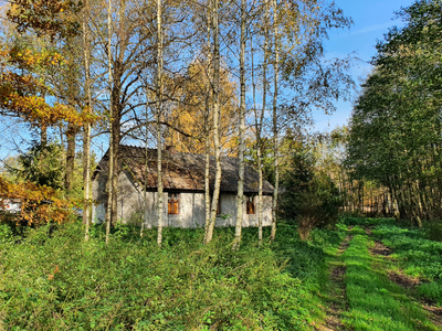 Działka na sprzedaż, łaski, Siedlce