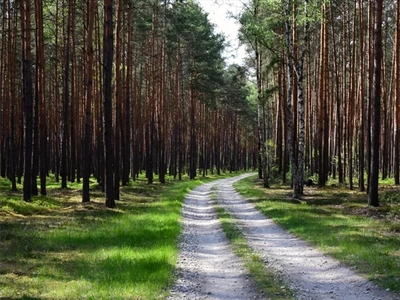 Działka na sprzedaż, Tomaszowski, Inowłódz