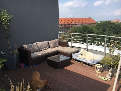 Apartament na wynajem, Dyrekcyjna, Wrocław