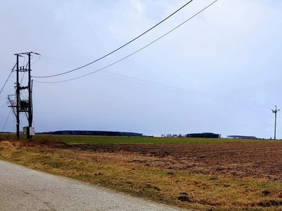 Duża działka budowlana w spokojnej okolicy - Pomiechówek