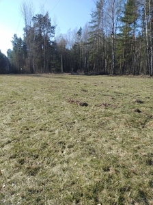 Działka budowlana Dzikie, gm Choroszcz