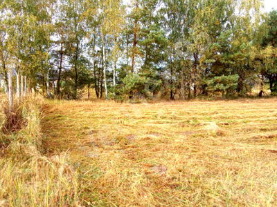 Działka budowlana Grodziec