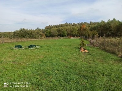 Działka budowlana, projekt, płyta, pozwolenie