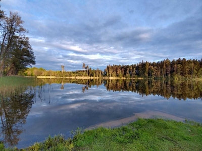 Działka nad jeziorem z linią brzegową. Mazury.