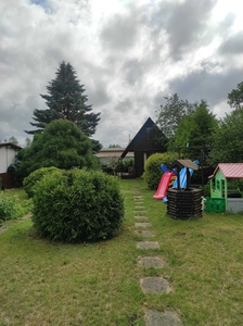 Działka rekreacyjna ROD w Koszalinie