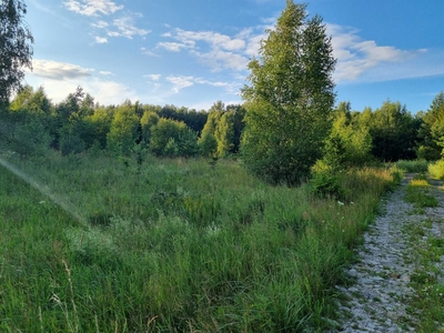 Działka rolna, rekreacyjna Czapielsk k/o Kolbud