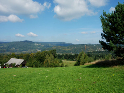 Działka rolno-budowlana Witowice Dolne