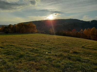 Góry Sowie atrakcyjna 9000 m2 działka optymal. lokalizacja super widok