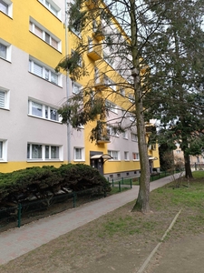 Rezerwacja Mieszkanie Poznań Grunwald 3 pokoje