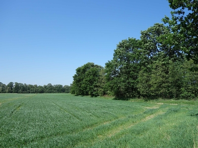 Skoczów Ochaby 62ar rolna pod lasem nadaje się pod altanke domek