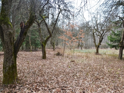 Sprzedam atrakcyjną działkę pod Warszawą 2500 m2 Lipowo