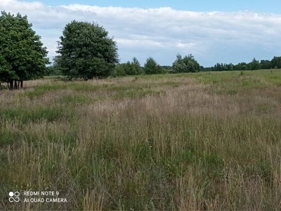 Sprzedam ziemie rolna 19100m2. Sołki gmina Dobre powiat mińsk maz