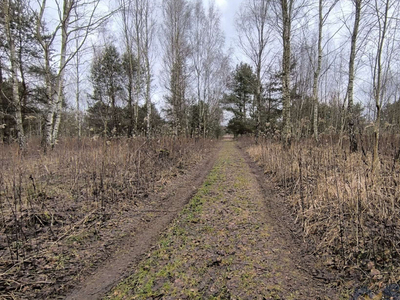 Warszawski Zachodni, Stare Babice, Wojcieszyn, Trakt Królewski