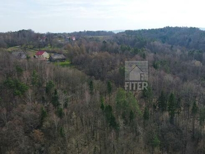 Działka rekreacyjna Borówna gm. Lipnica Murowana