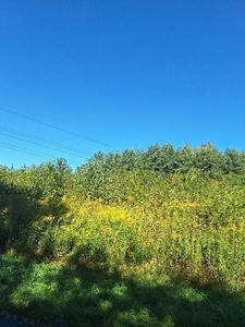 Na sprzedaż duża działka budowlana Rybnik-Golejów!