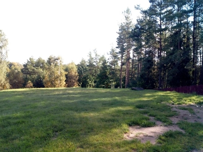 Syndyk sprzeda działki budowlane/letniskowe w Miechucinie