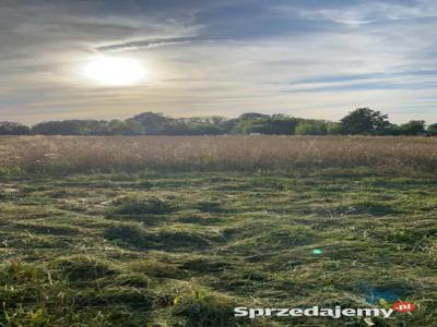 Sprzedam 2 działki o łącznej powierzchni 1,11h Strzemeszno