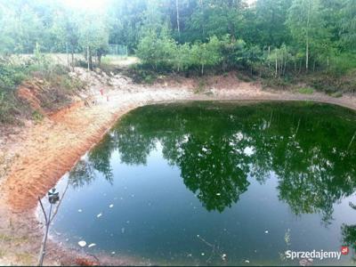 Budowlana w lesie 4000 m2 blisko Łodzi Termy