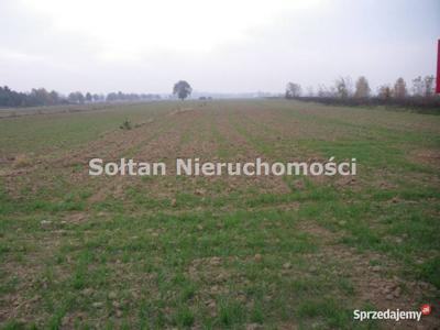 Do sprzedaży działka 6700m2 Czosnów