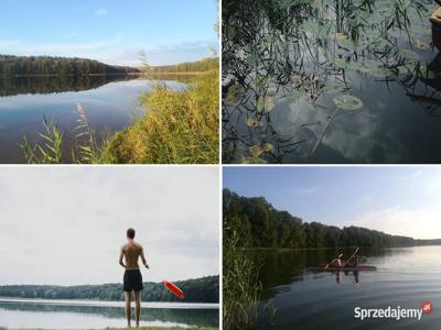 Domek nad jeziorem w lesie Rozalinowo Żnin Pałuki Wypoczynek