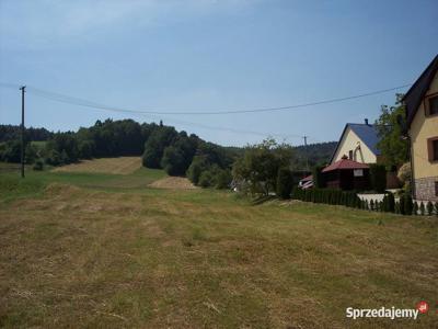 Duża działka budowlano-rolna z lasem w Iwkowej