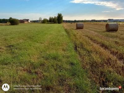 Działka 1,3 ha rolna z cesją umowy na farmę fotowoltaiczną O