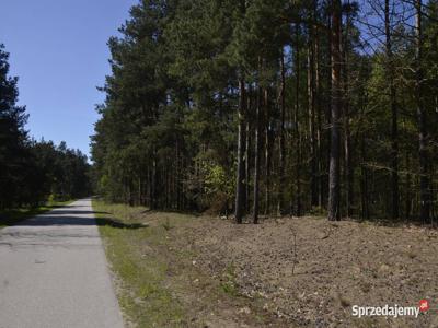 Działka 17200m2 leśna Siennica