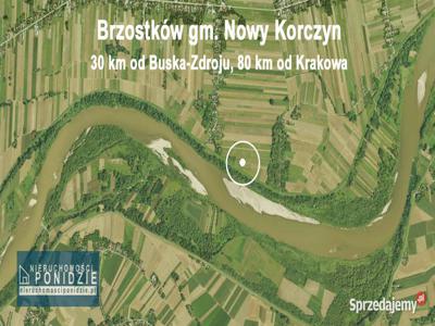 Działka 1,8 ha nad Wisłą Brzostków gm. Nowy Korczyn