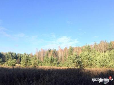 Działka 20600m2 Smogorzewiec (gm. Obrowo)