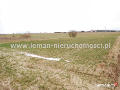 Działka 3428m2 Ciechanki Krzesimowskie