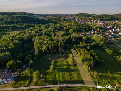 Działka Budowla- Kamień-Czernichów