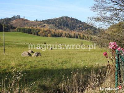 Działka budowlana z widokiem na góry w Boguszowie-Gorcach obręb Stary Lesi…