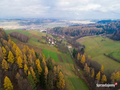 Działka budowlano - leśna Gaboń Stary Sącz