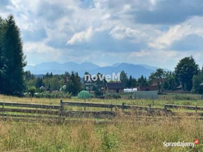 Działka Koniówka 12685m2