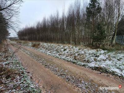 Działka na ulicy Grunwaldzkiej - Działdowo