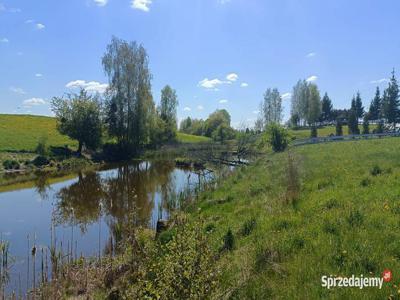 Działka Orzyny 75 arów bezpośrednio