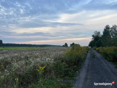 Działka pod działalność 2,8697 HA ul. Taborowa